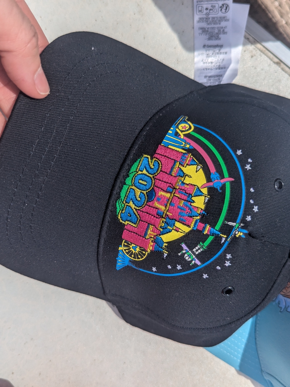 Embroidered 2024 Disneyland Castle Graphic Black Cap